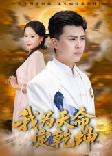 我为天命定乾坤海报