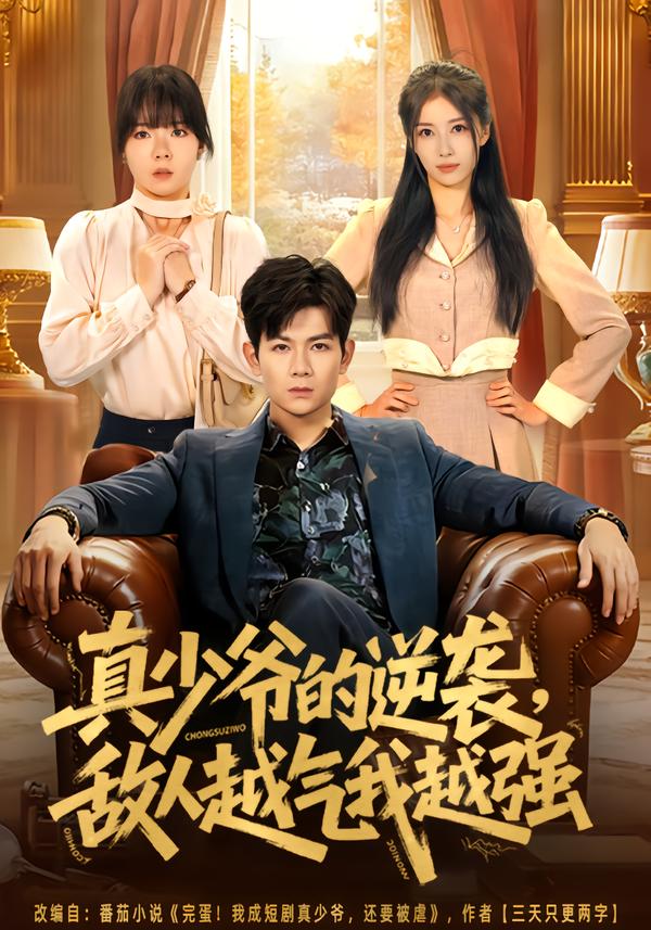 真少爷的逆袭，敌人越气我越强海报