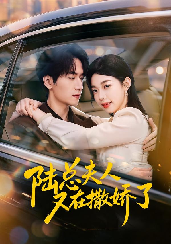 陆总夫人又在撒娇了海报