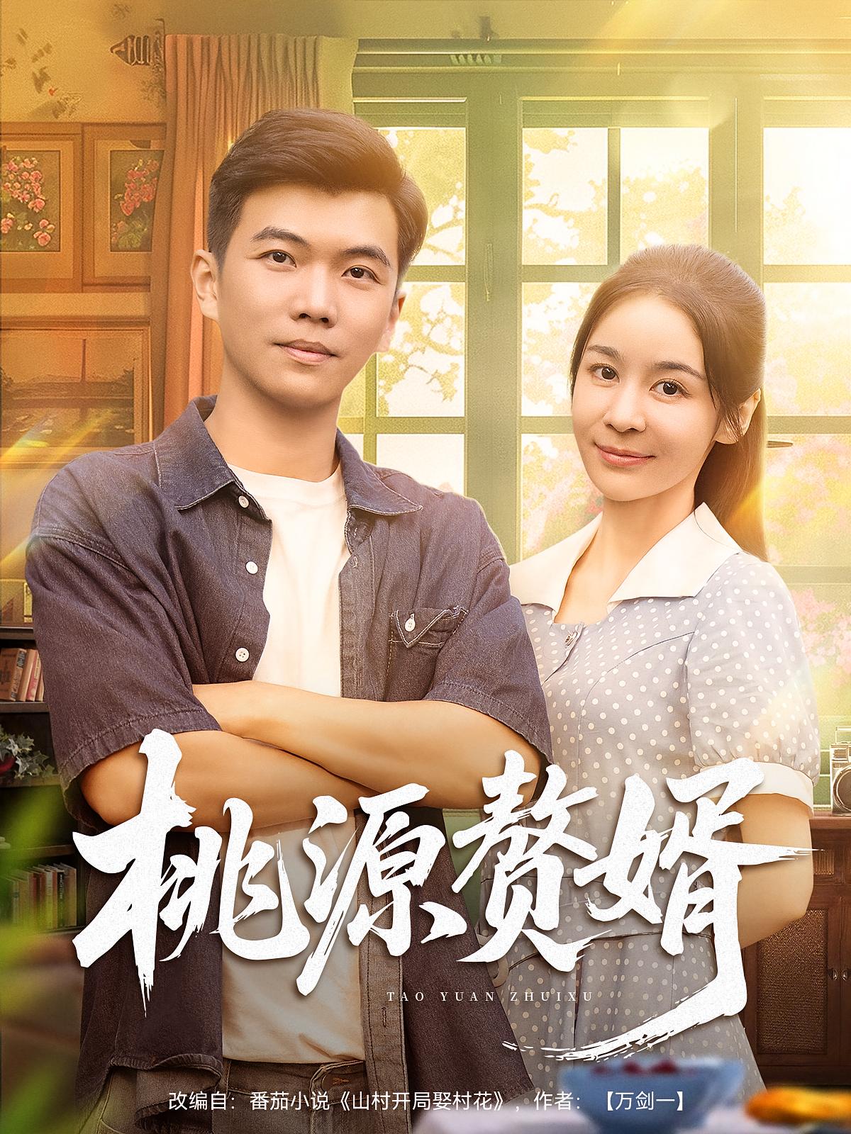 桃源赘婿海报