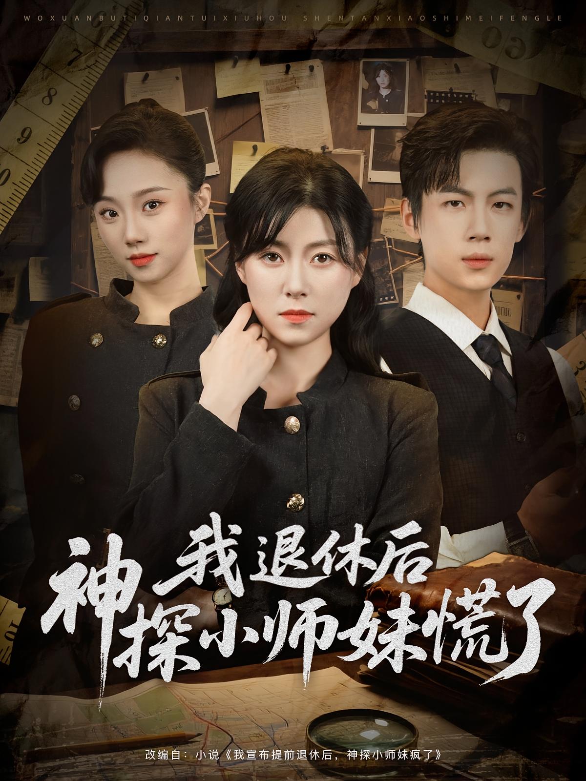 我退休后神探小师妹慌了海报