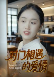 对门相遇的爱情海报
