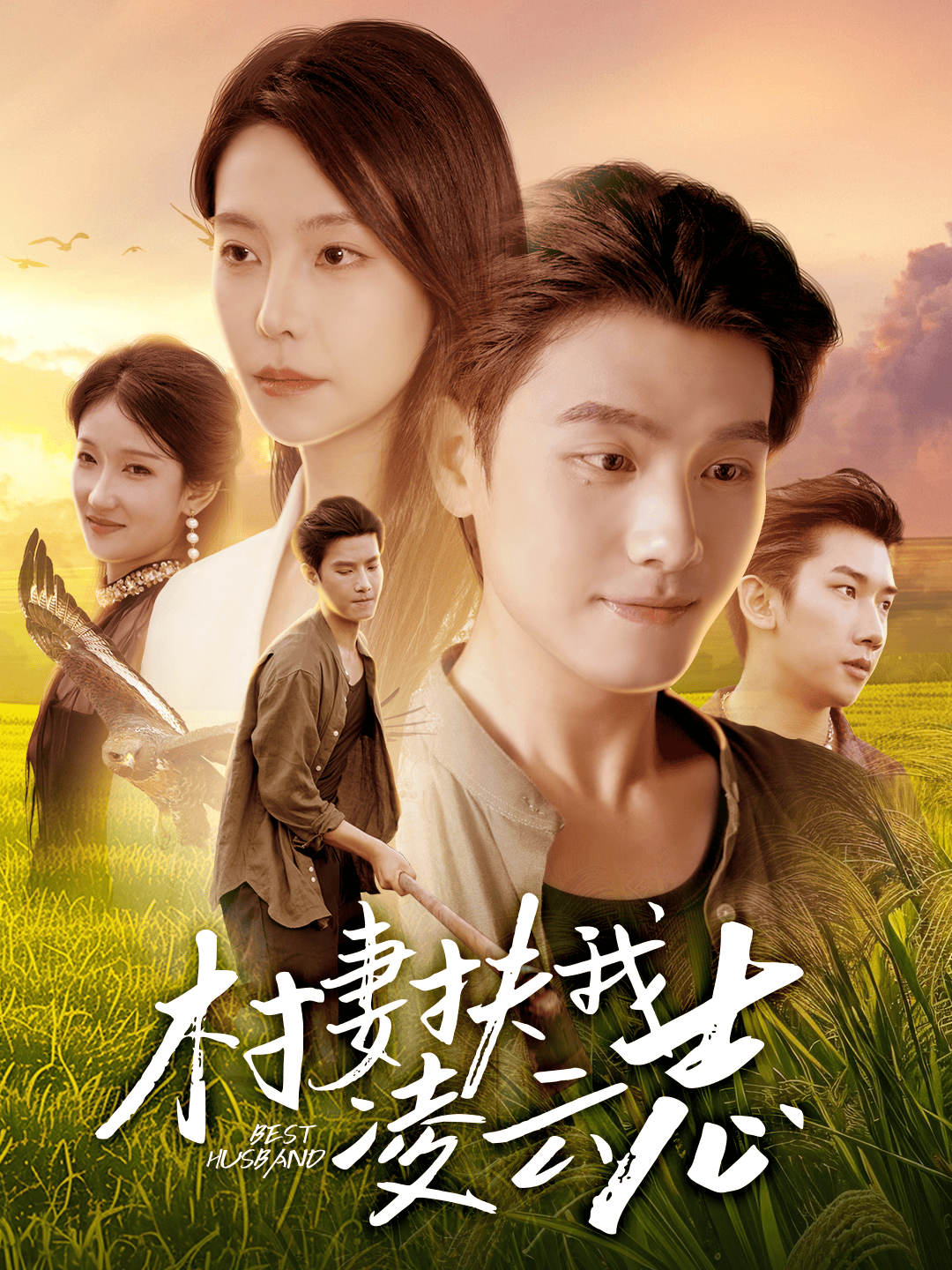 村妻扶我凌云志海报