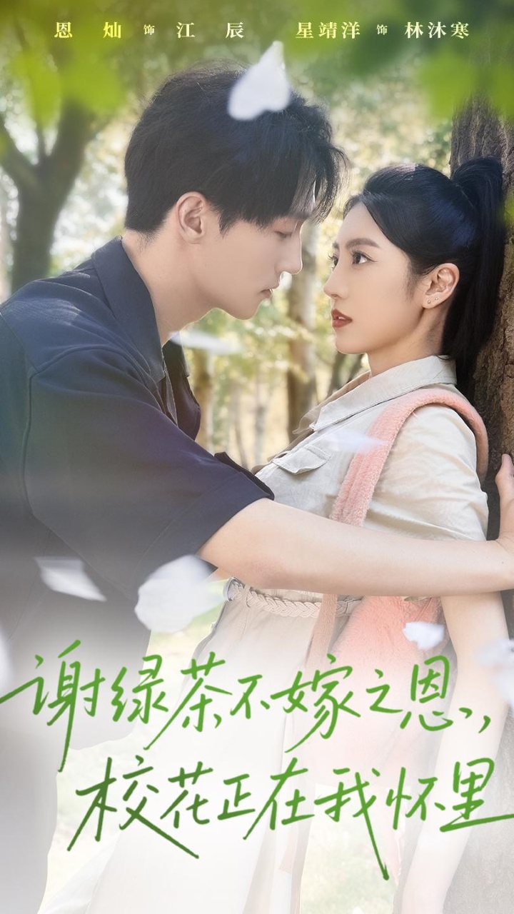 谢绿茶不嫁之恩校花正在我怀里海报