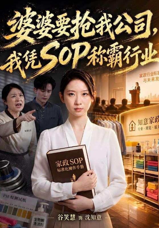 婆婆要抢我公司，我凭SOP称霸行业海报