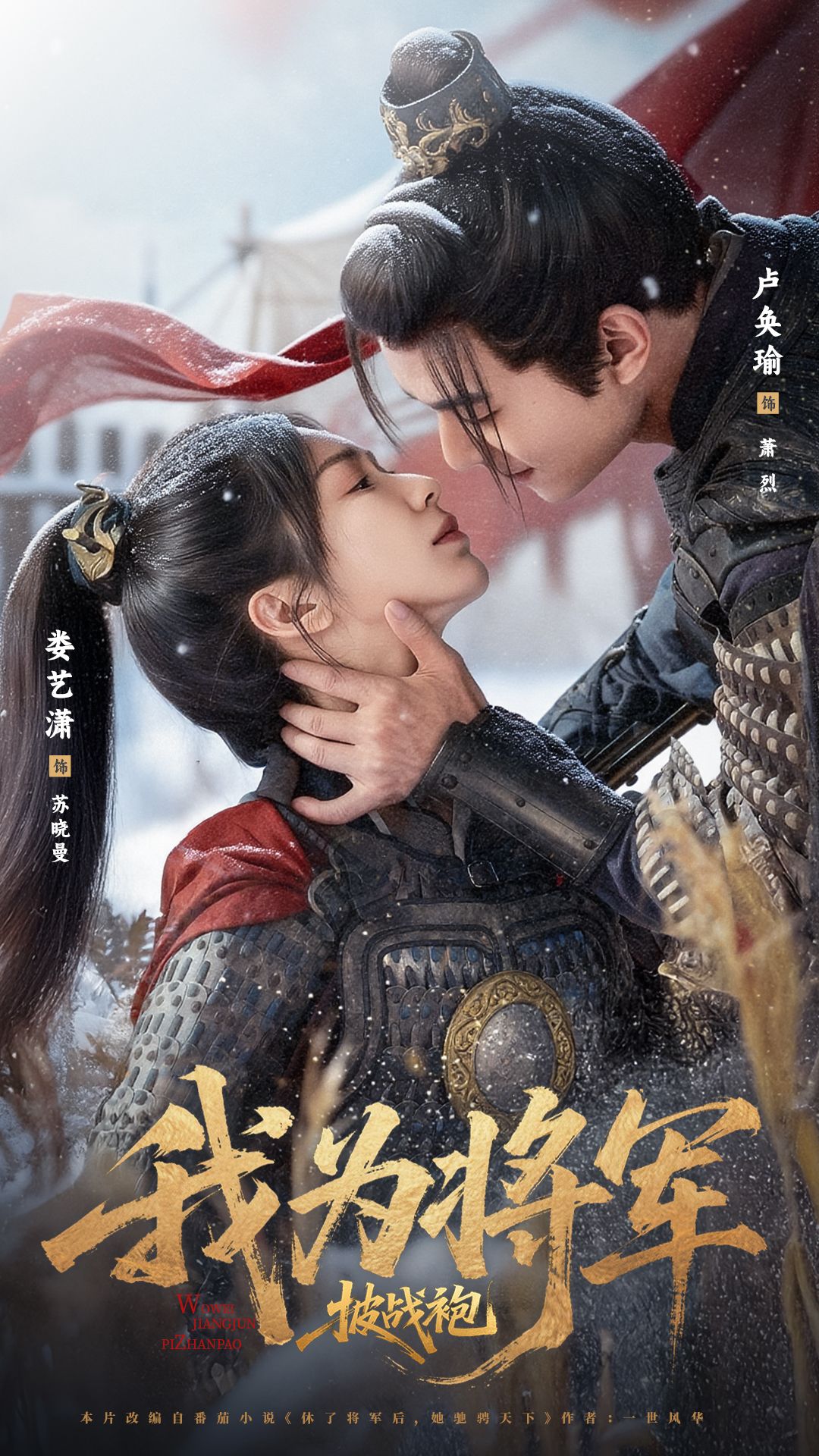 我为将军披战袍海报