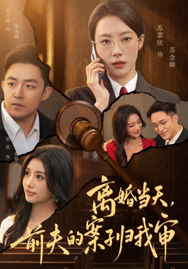离婚当天，前夫的案子归我审海报