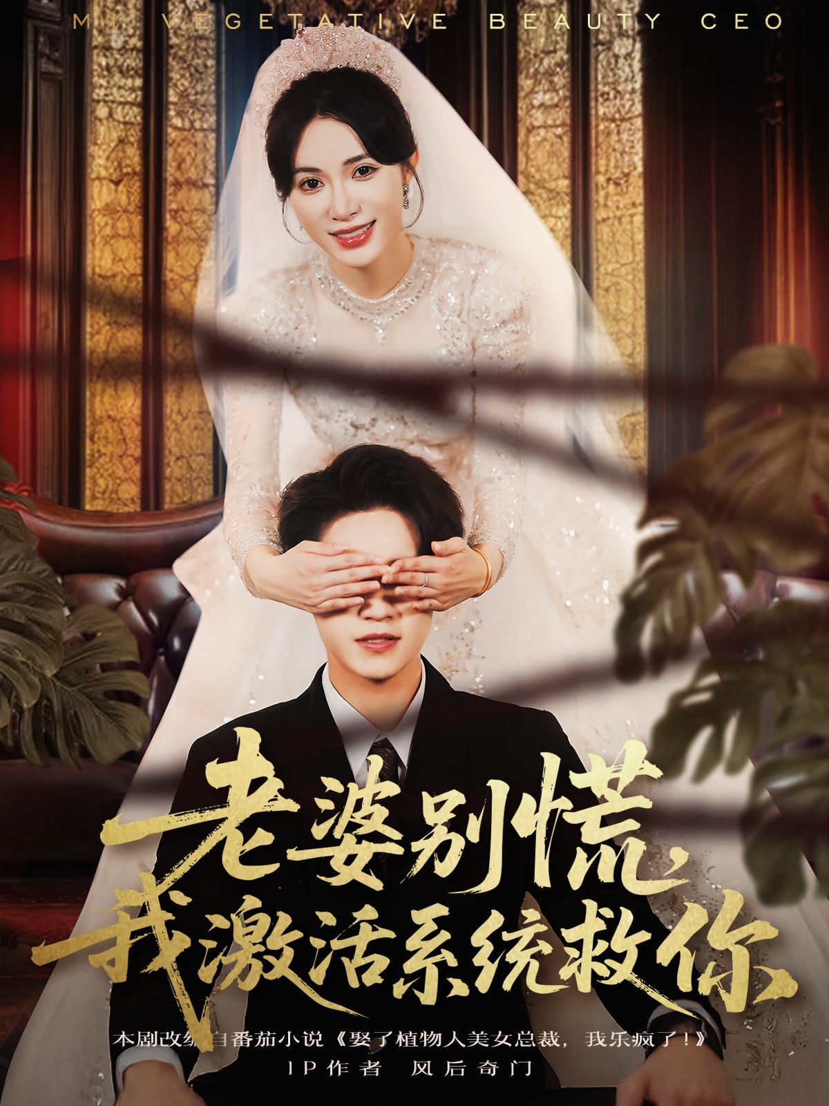老婆别慌，我激活系统救你海报
