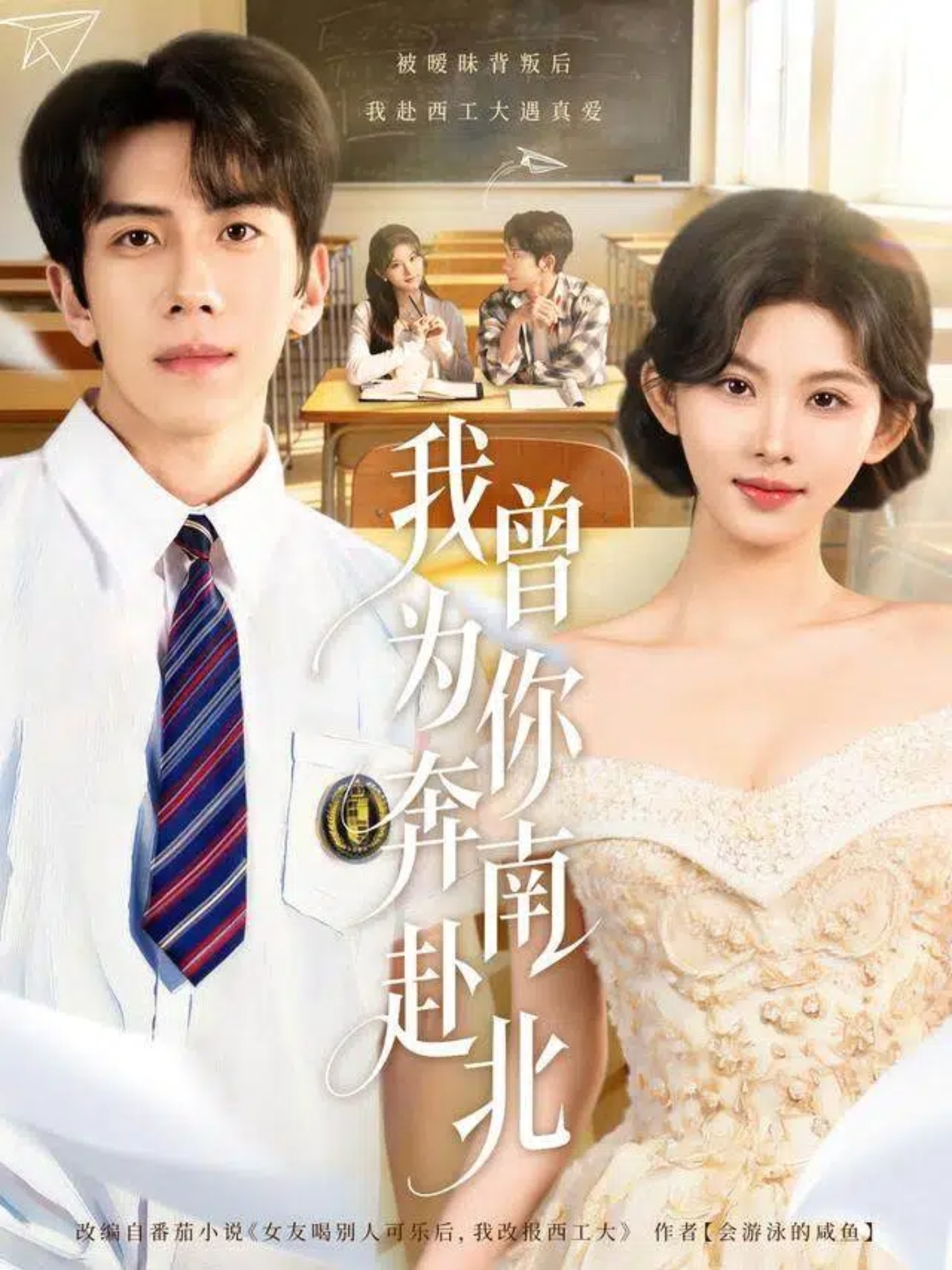 我曾为你奔南赴北海报