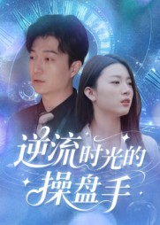 逆流时光的操盘手海报