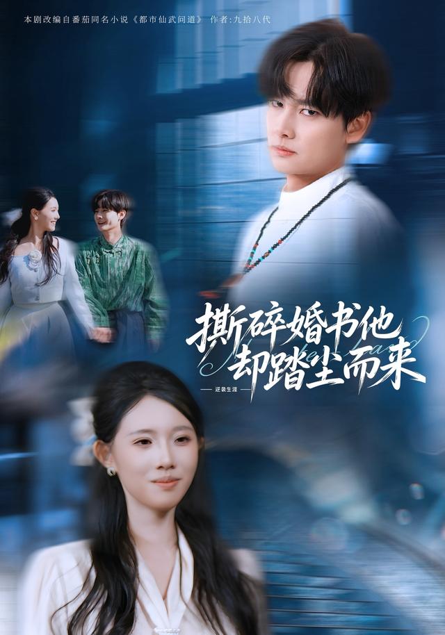 撕碎婚书他却踏尘而来海报