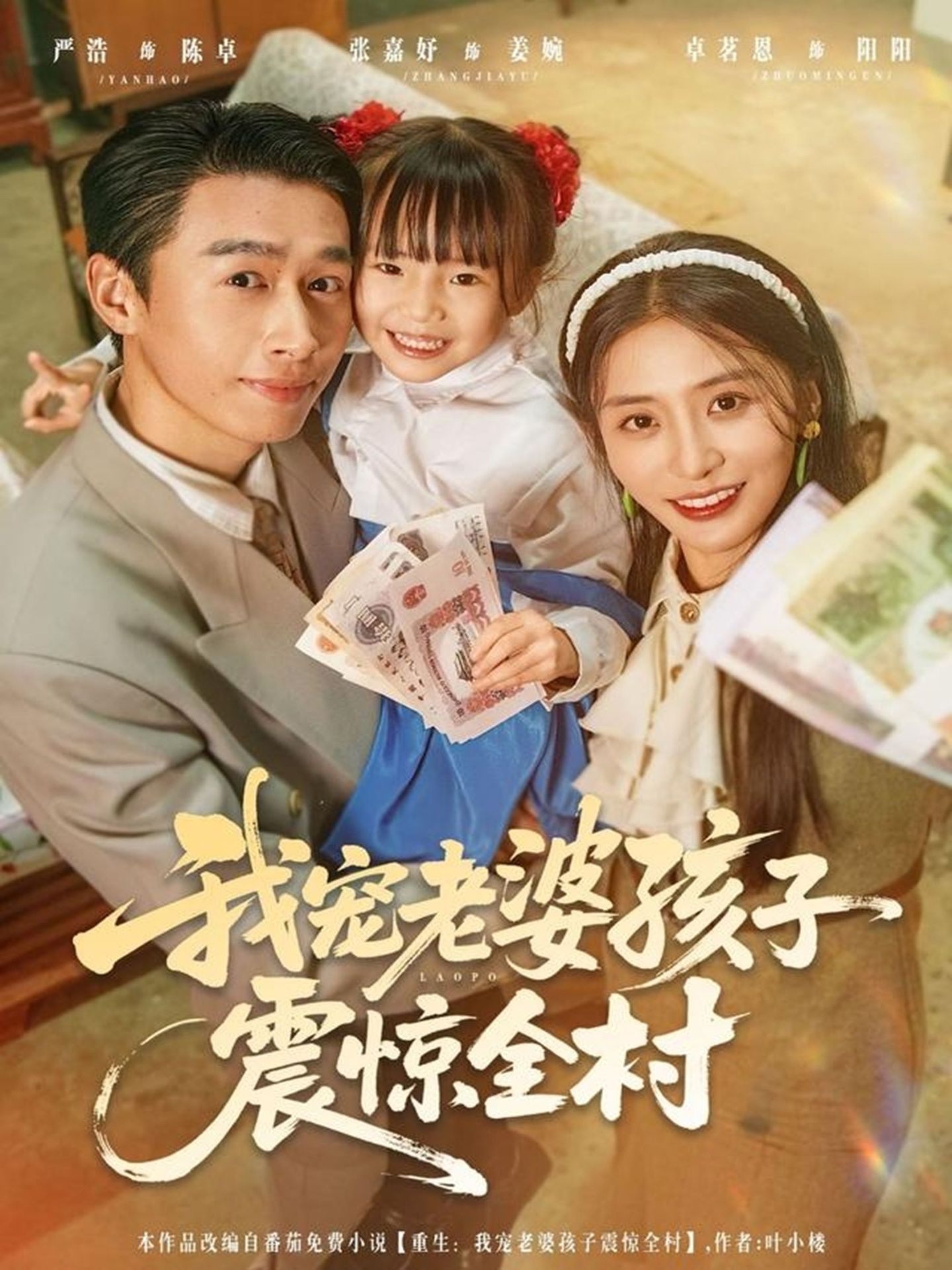 我宠老婆孩子震惊全村海报