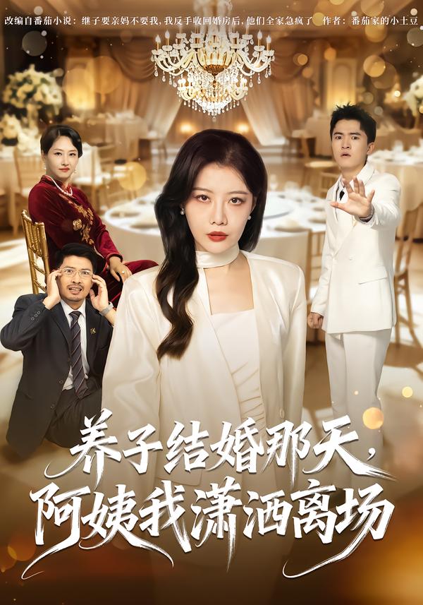 养子结婚那天，阿姨我潇洒离场海报