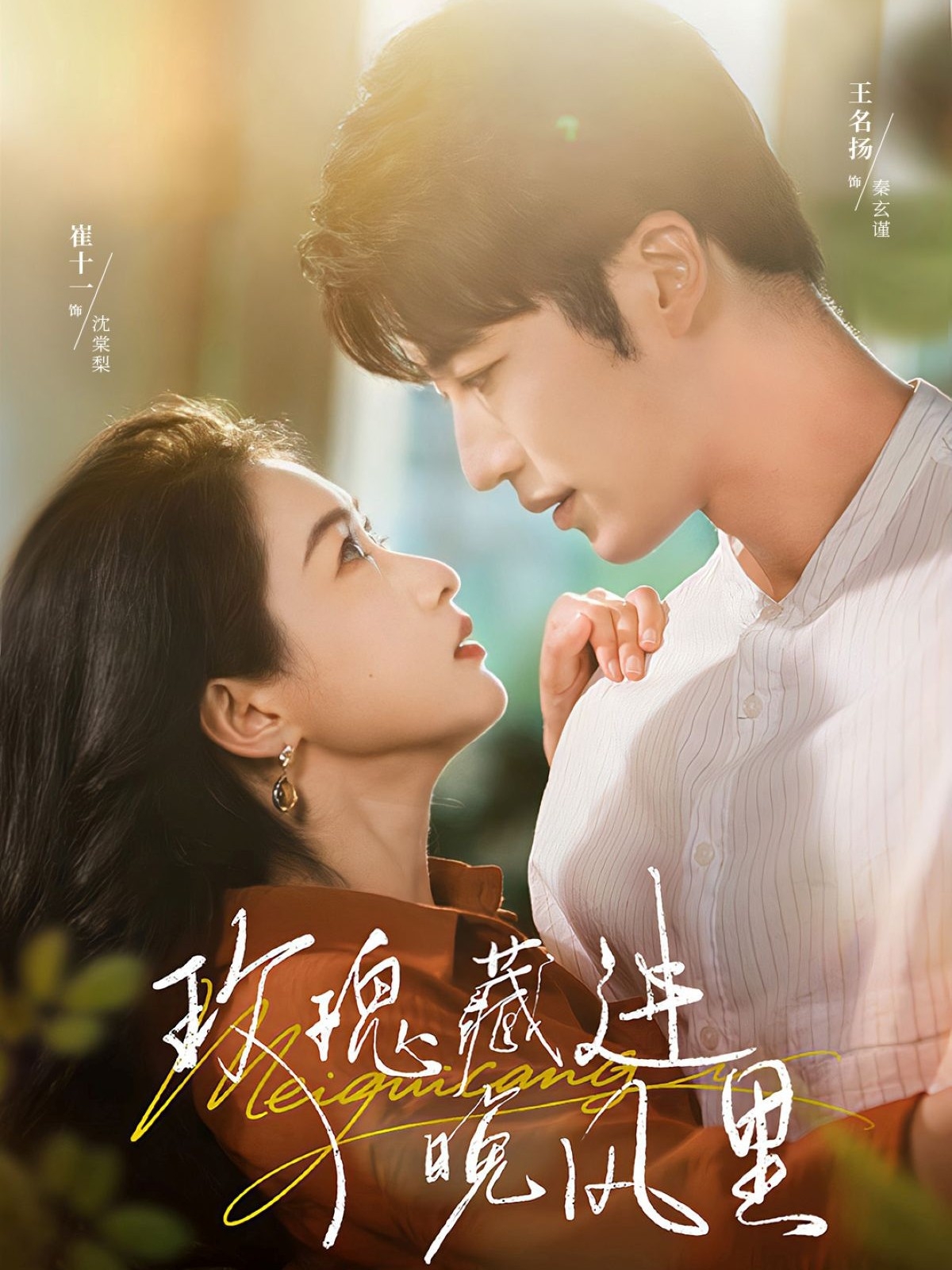 玫瑰藏进晚风里海报