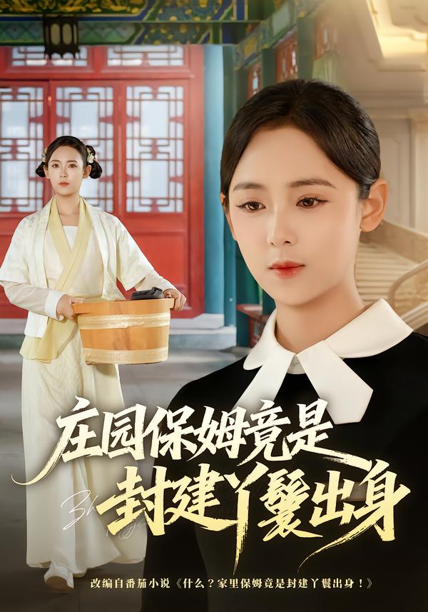 庄园保姆竟是封建丫鬟出身海报