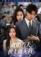 离婚当天世上再无我海报