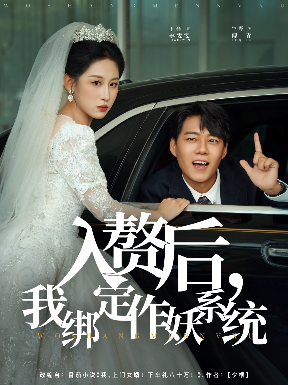 入赘后我绑定作妖系统海报