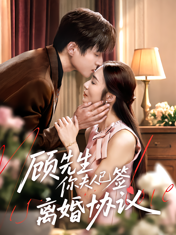 顾先生你夫人已签离婚协议海报