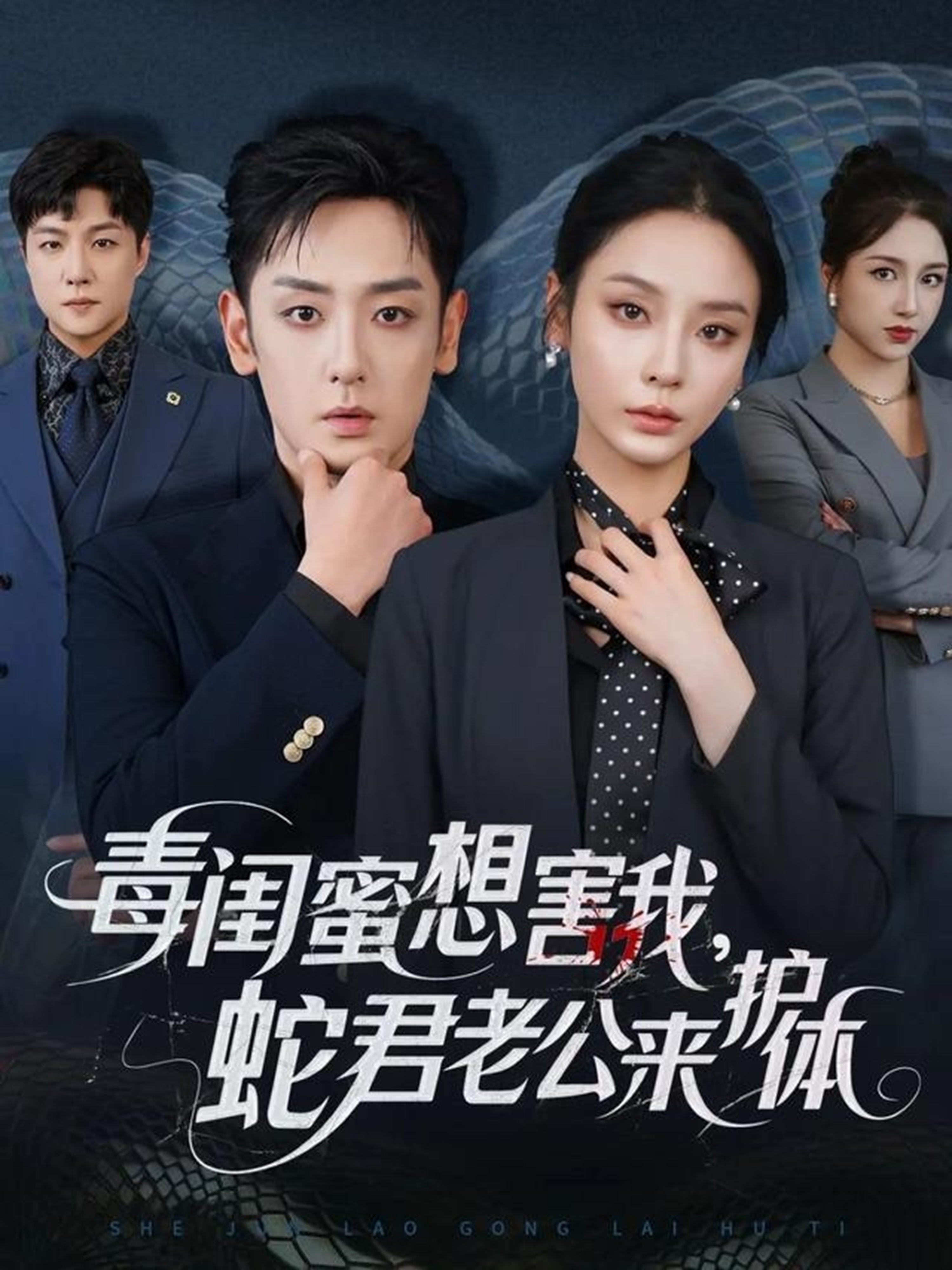 毒闺蜜想害我蛇君老公来护体海报
