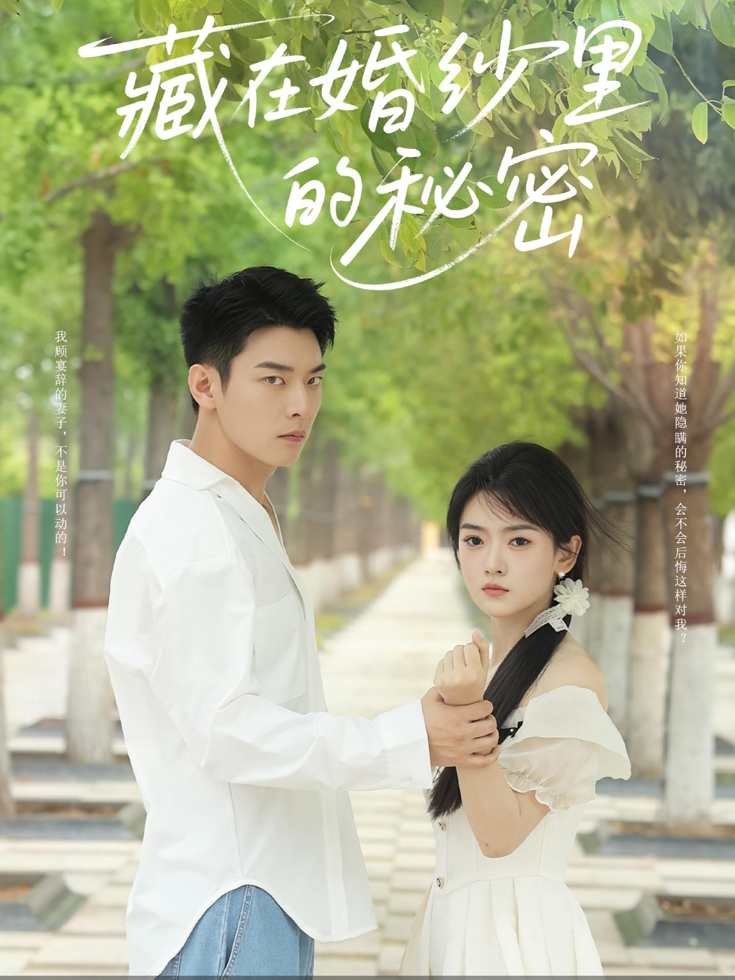藏在婚纱里的秘密海报