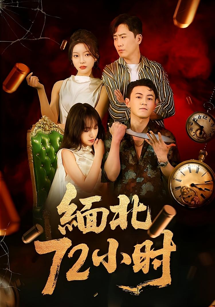 缅北72小时海报
