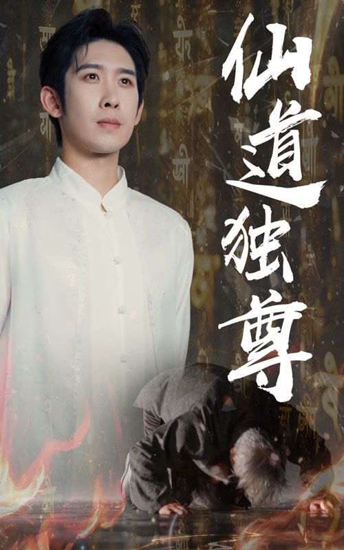 仙道独尊海报