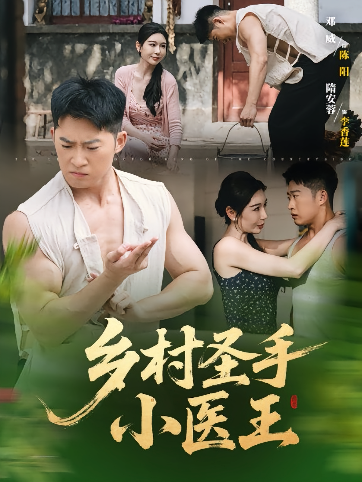 乡村圣手小医王海报