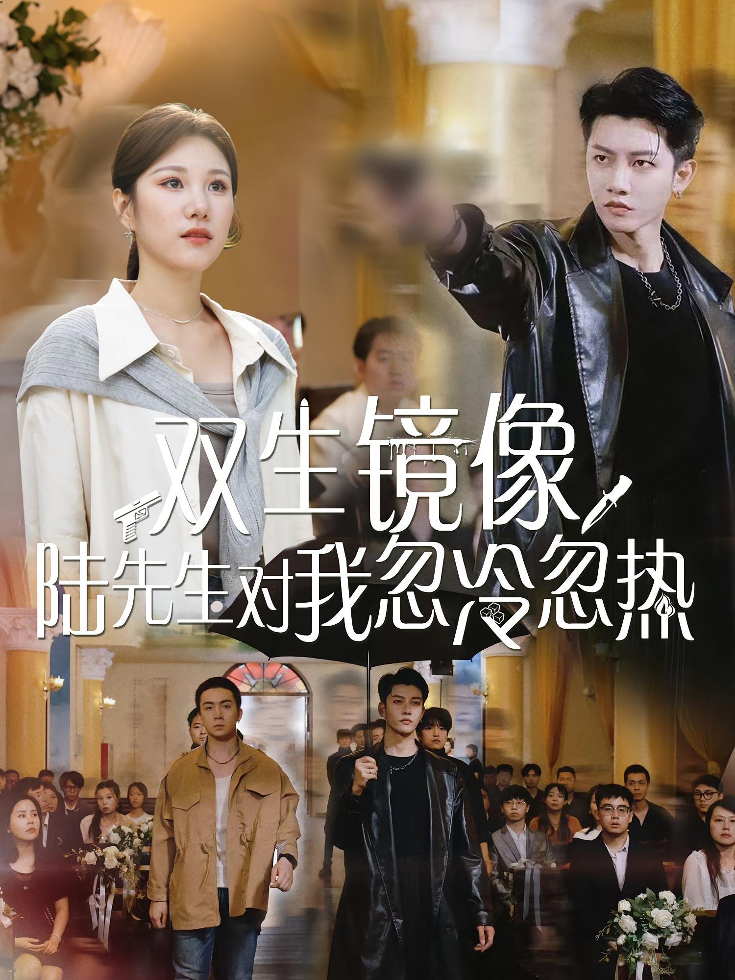 双生镜像陆先生对我忽冷忽热海报
