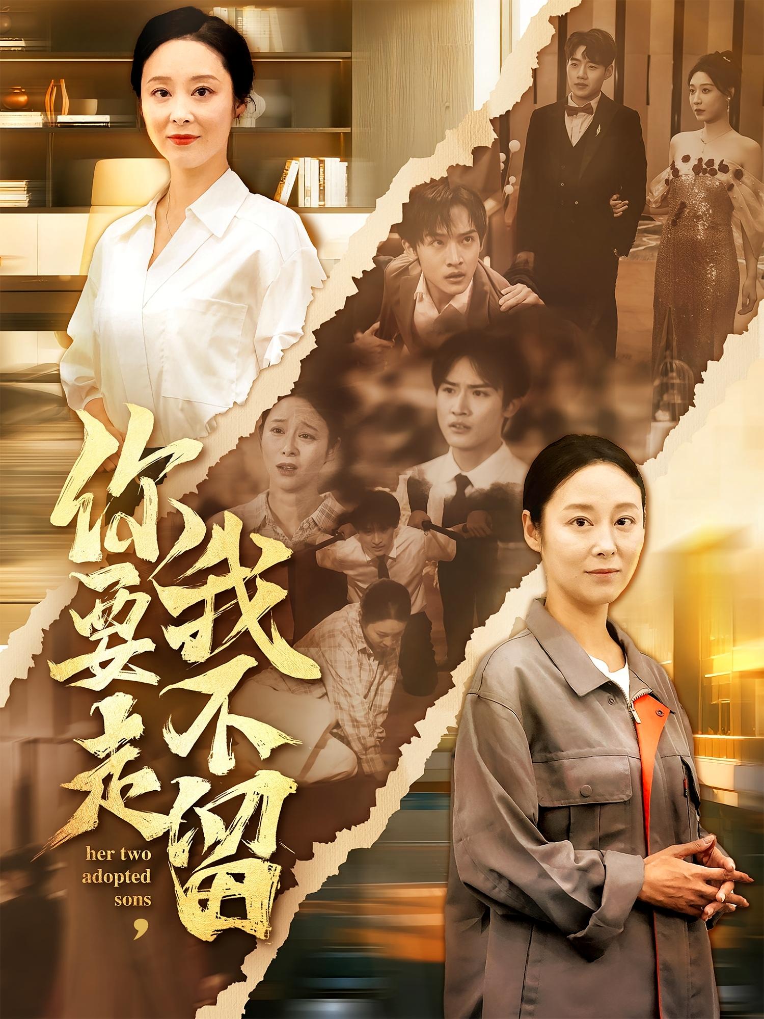 你要走我不留海报