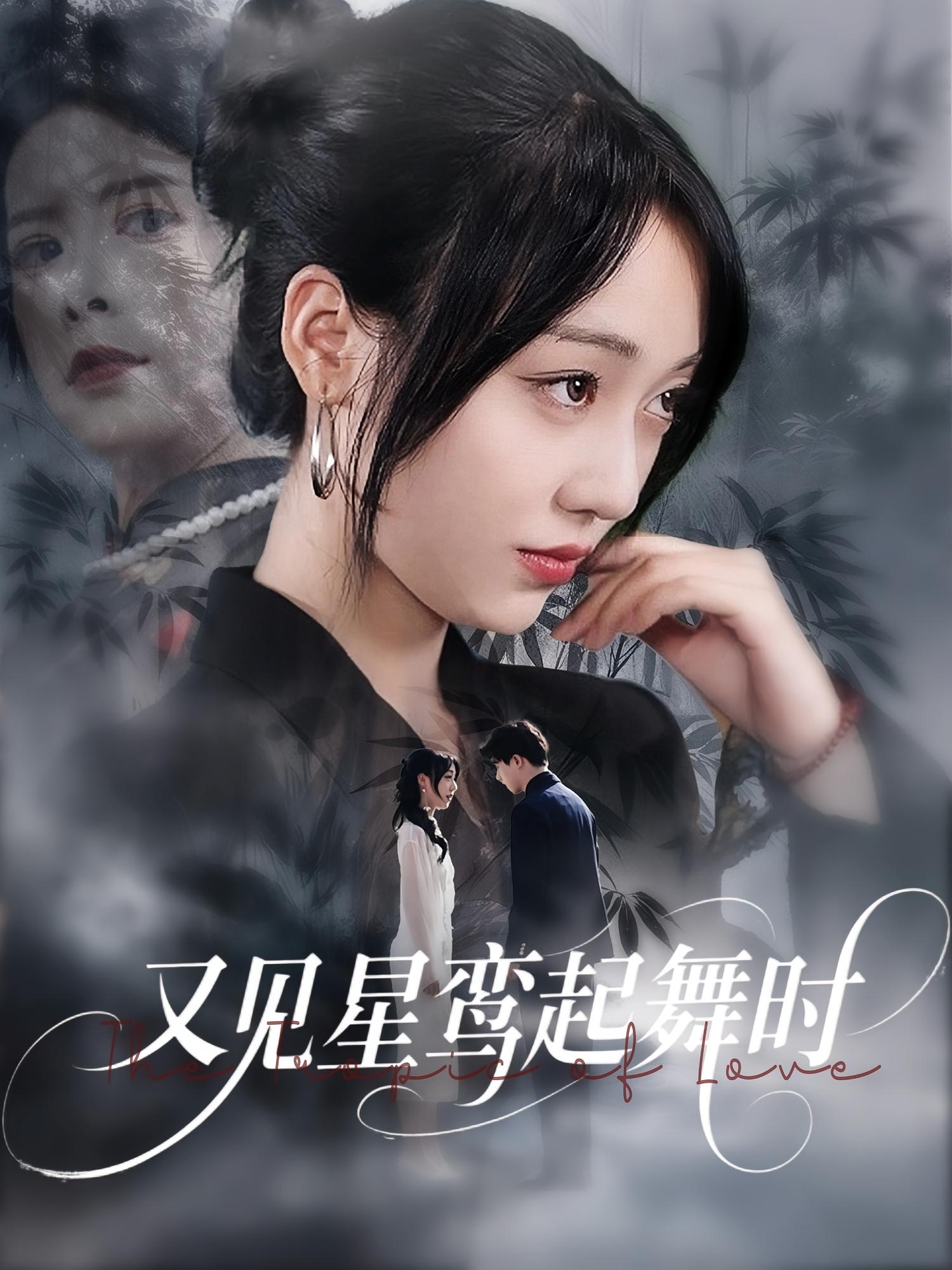 又见星鸾起舞时海报
