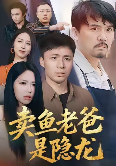 卖鱼老爸是隐龙海报