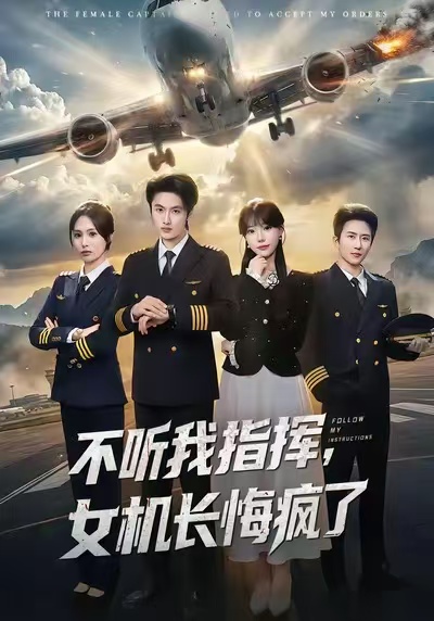 不听我指挥，女机长悔疯了海报