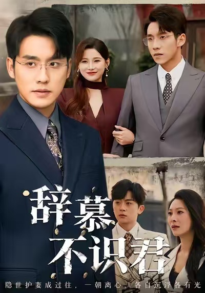 辞慕不识君海报