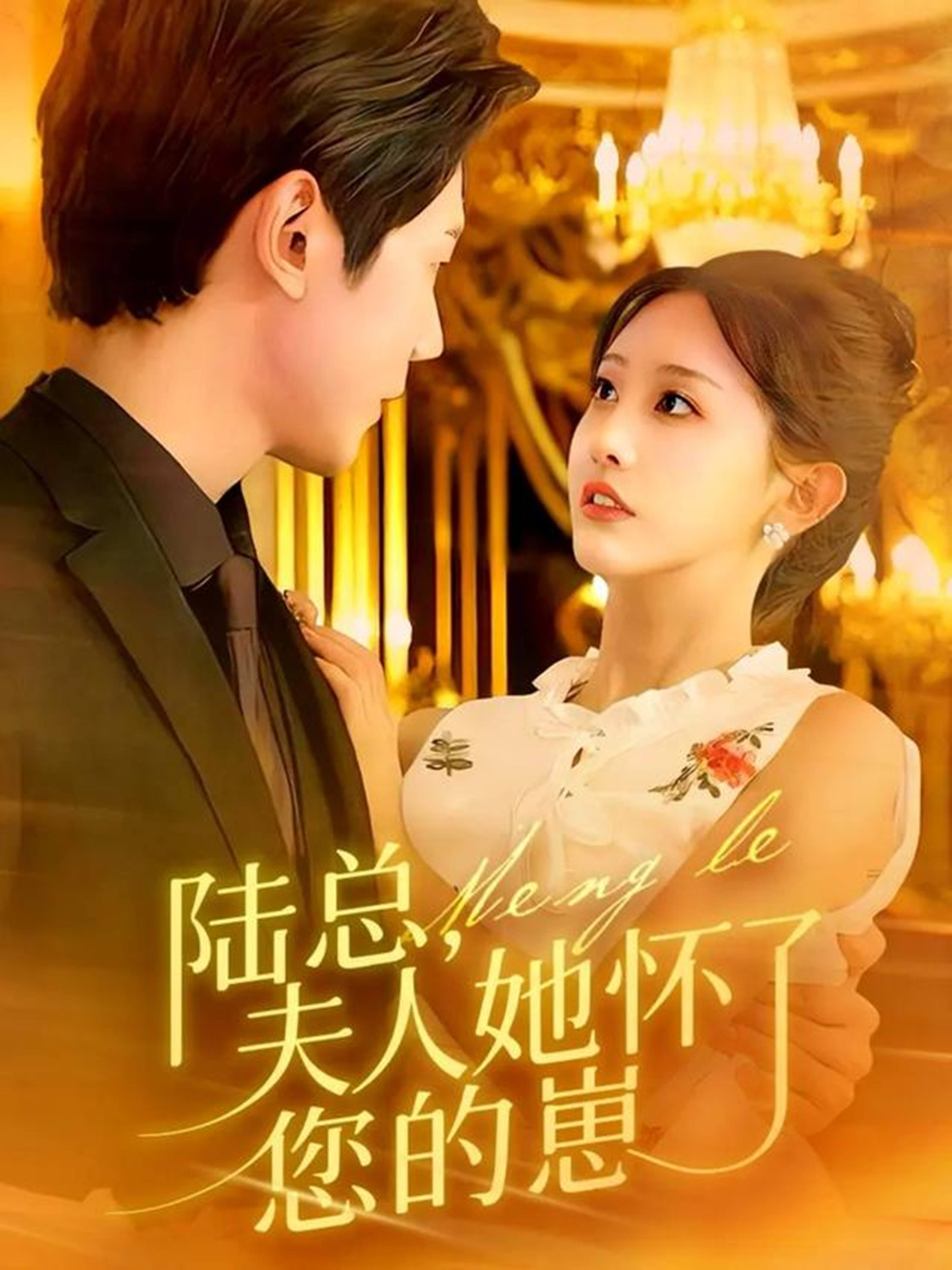 陆总，夫人她怀了您的崽海报