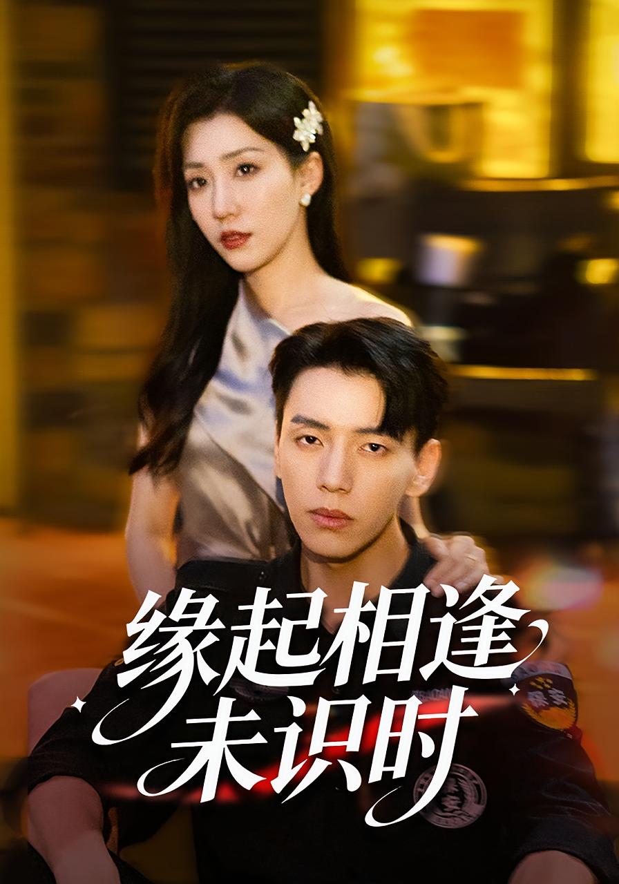 缘起相逢未识时海报