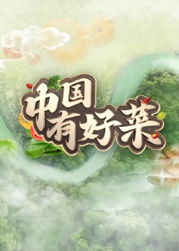 中国有好菜海报
