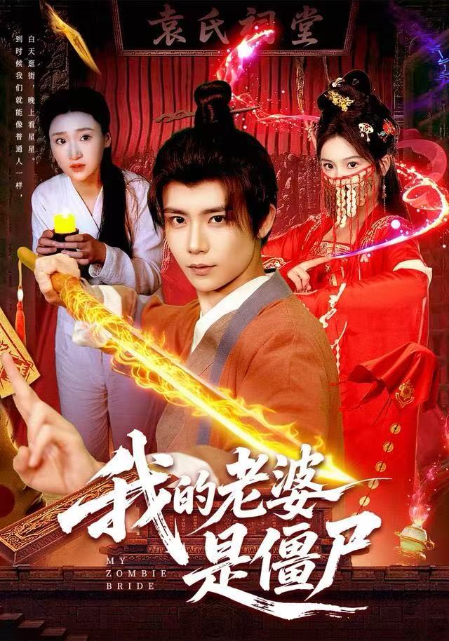 我的老婆是僵尸海报