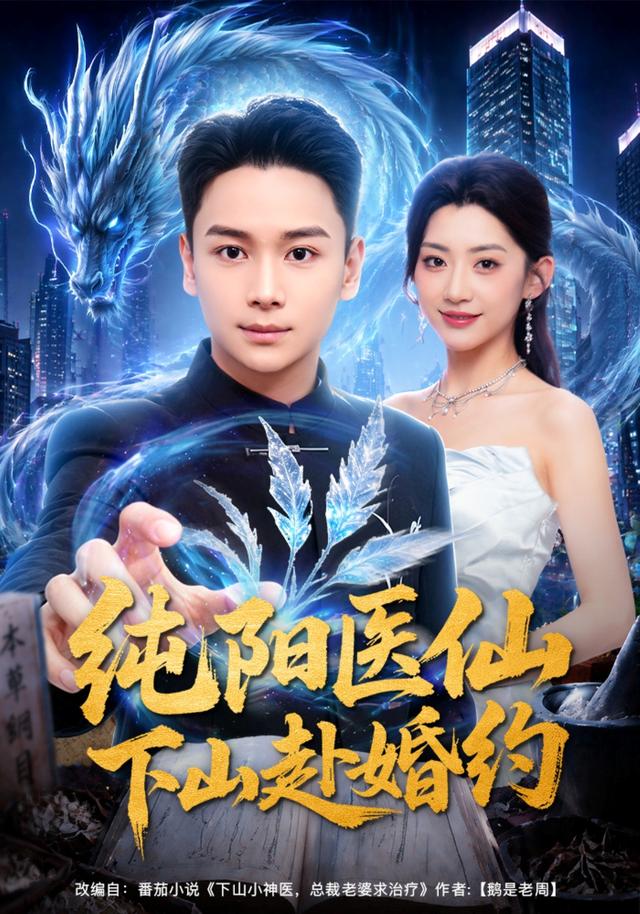 纯阳医仙下山赴婚约海报