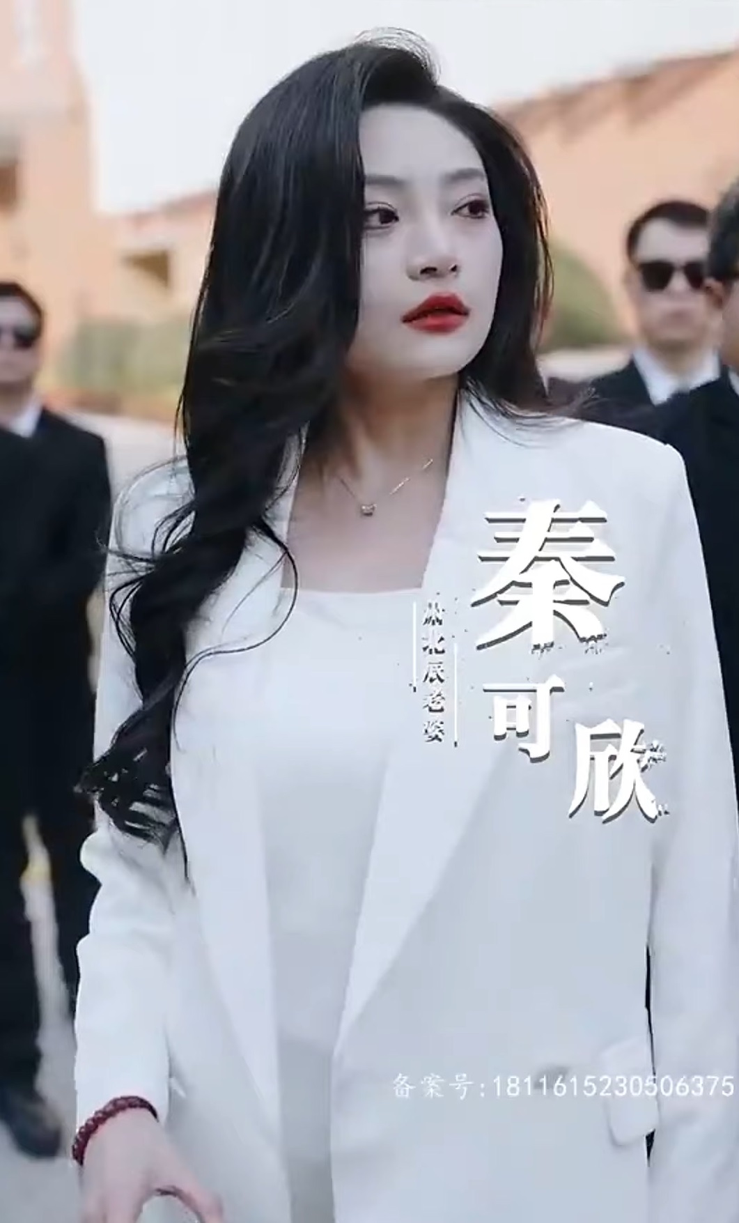 见龙海报