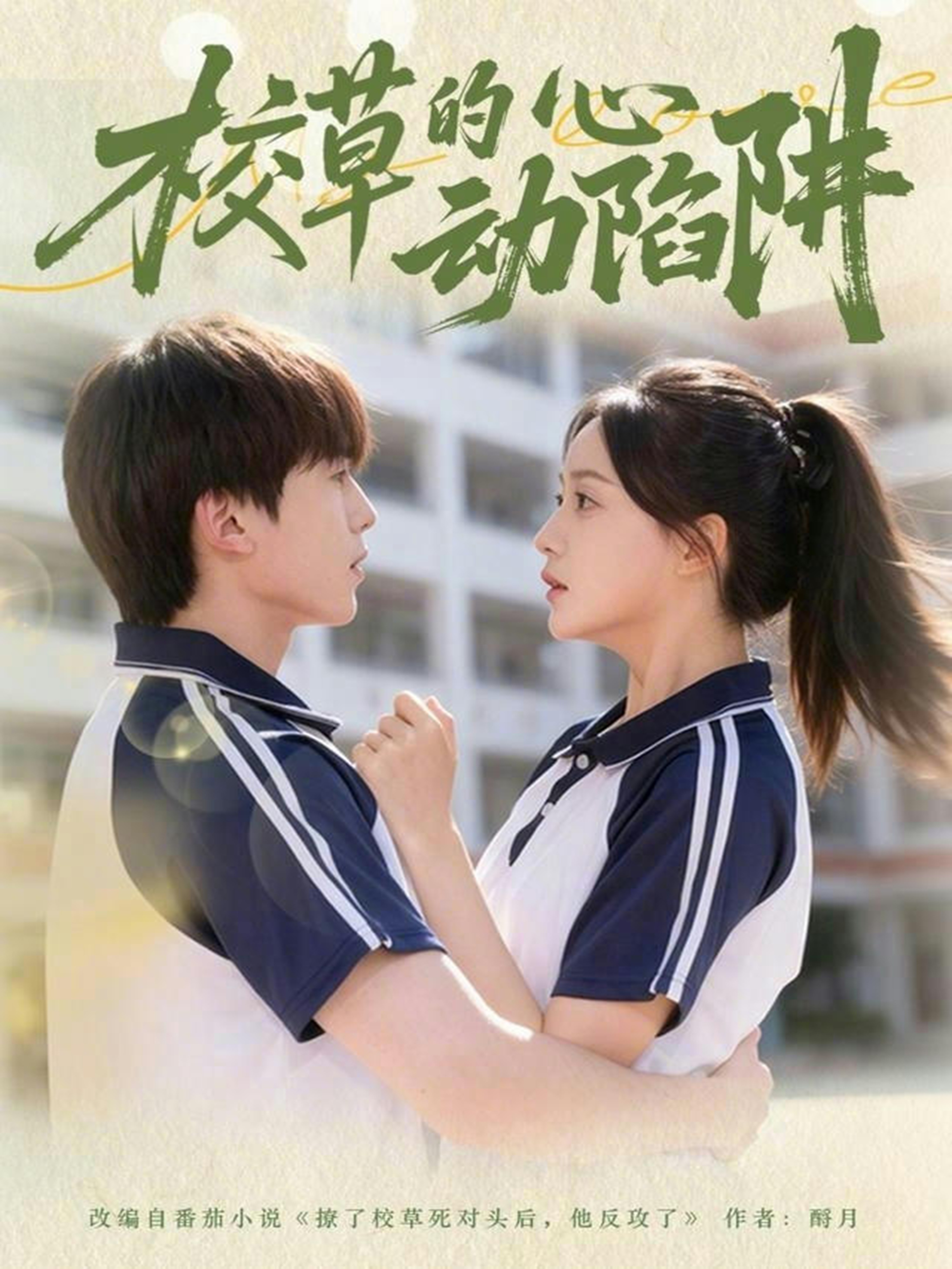 校草的心动陷阱海报