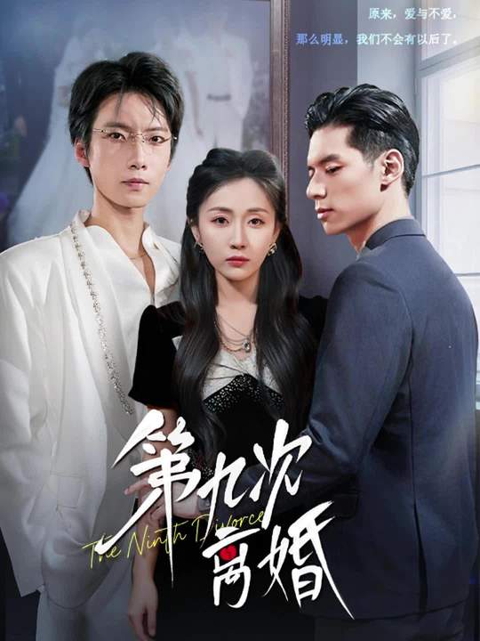 第九次离婚海报