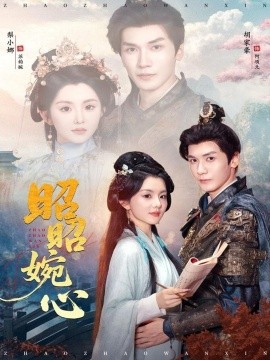 昭昭婉心海报