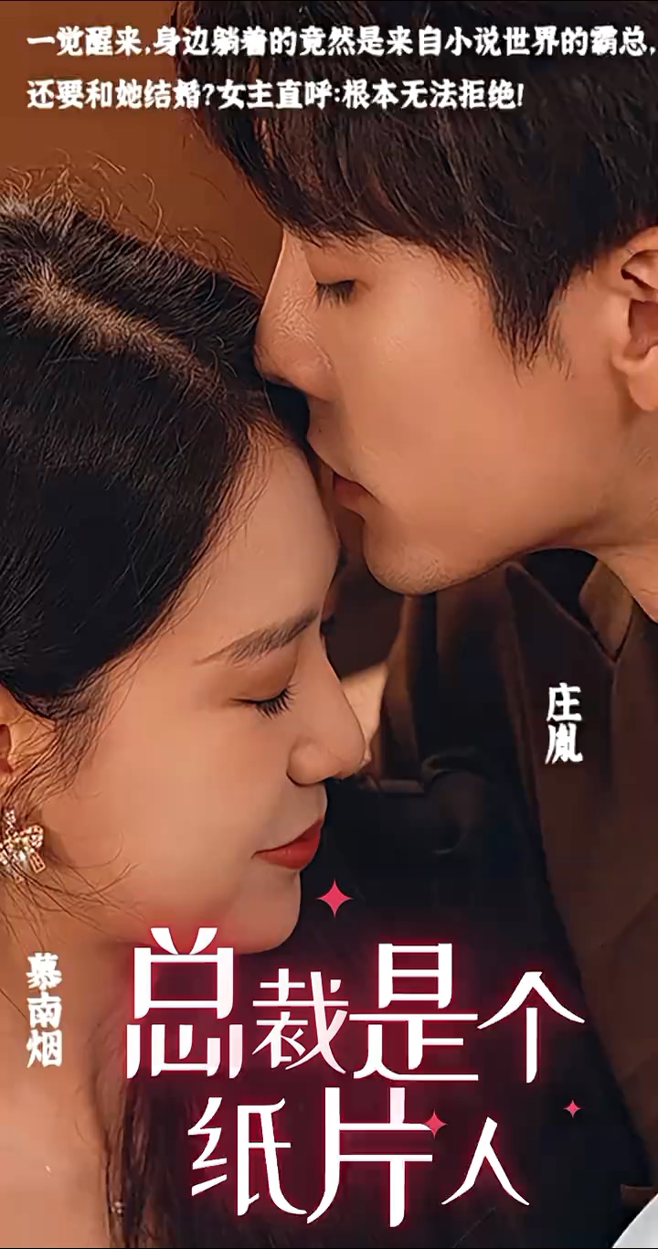 总裁是个纸片人海报