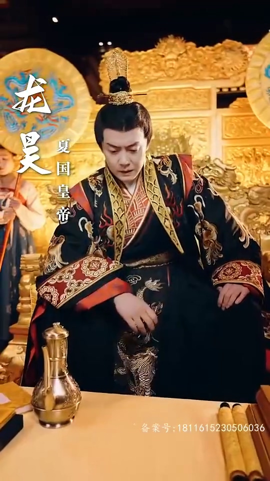 朕海报