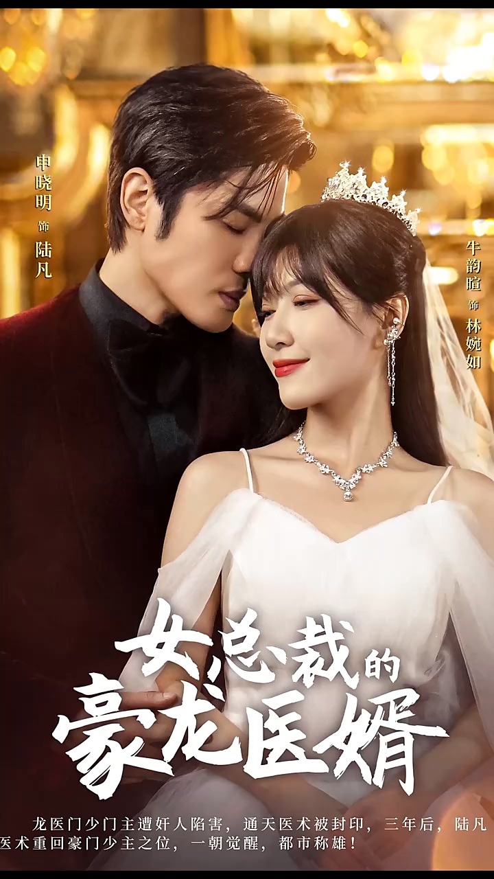 女总裁的豪龙医婿海报