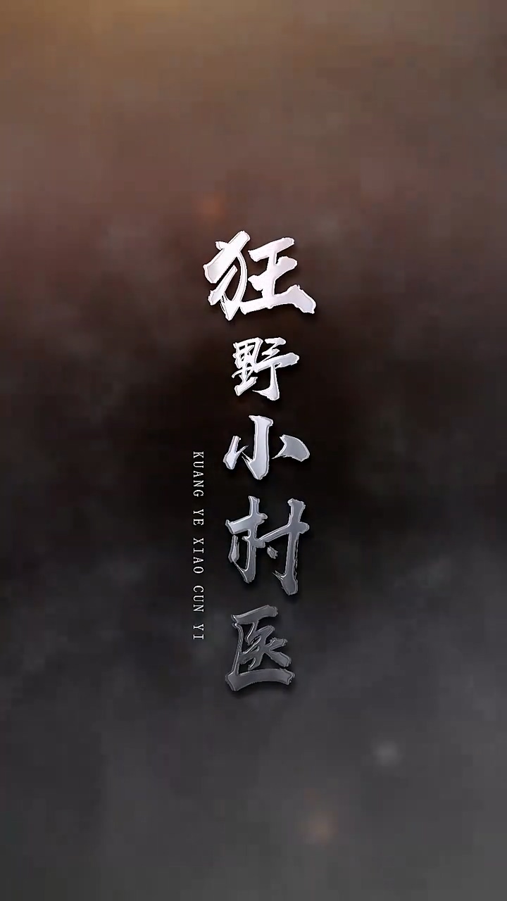 狂野小村医海报