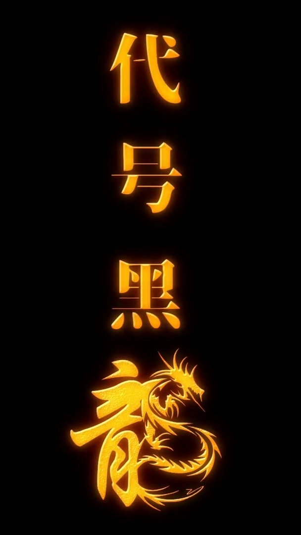 代号黑龙海报