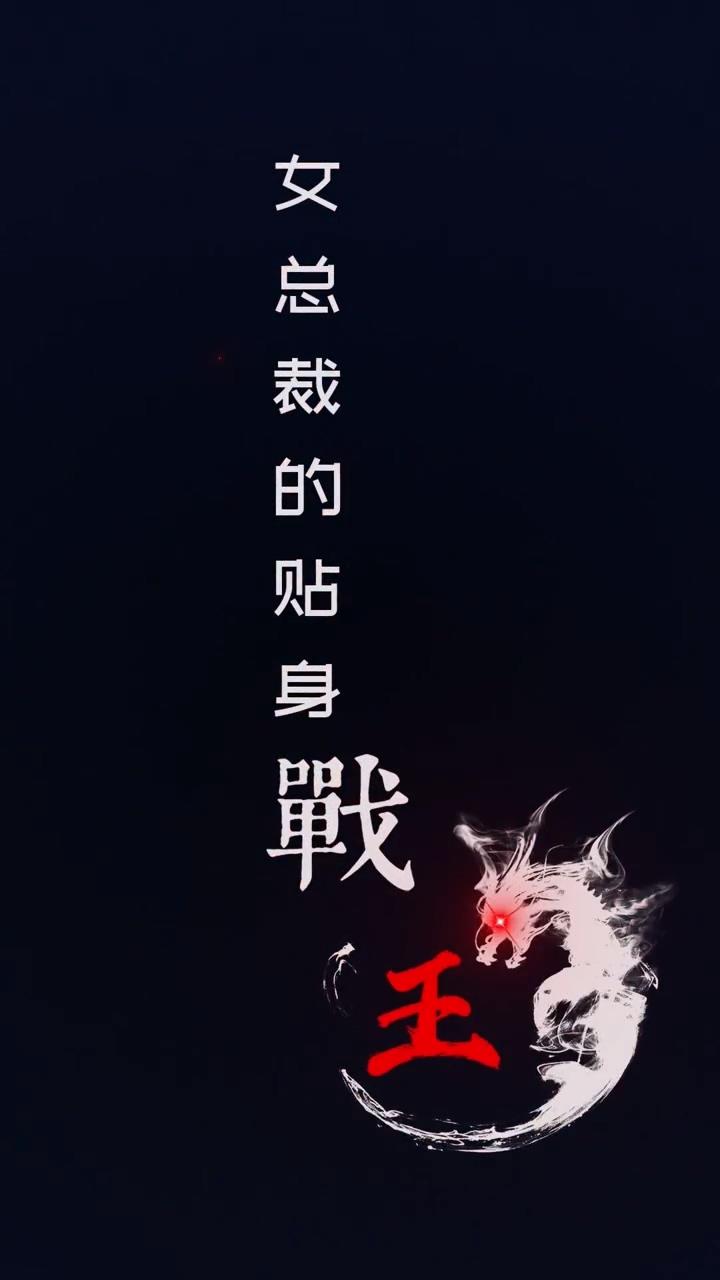 女总裁的贴身战王海报