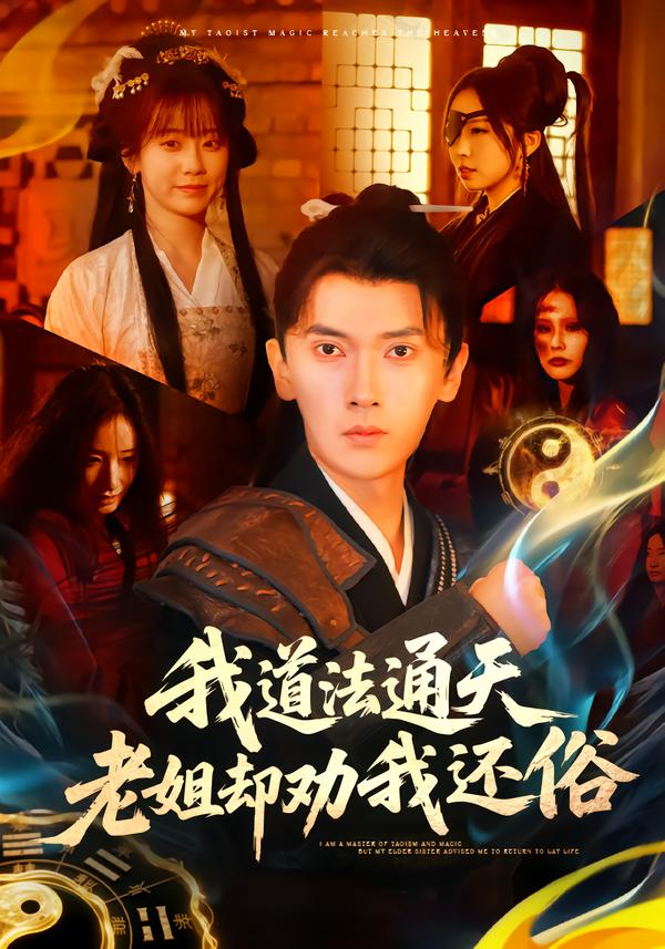 我道法通天老姐却劝我还俗海报