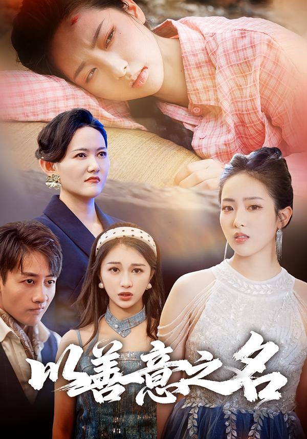以善意之名海报